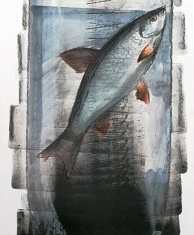 „Tekila”